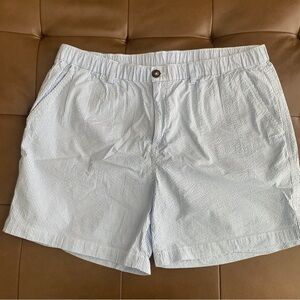 Chubbies Seersucker Light Blue and White Striped Shorts 5.5” inseam size XXL